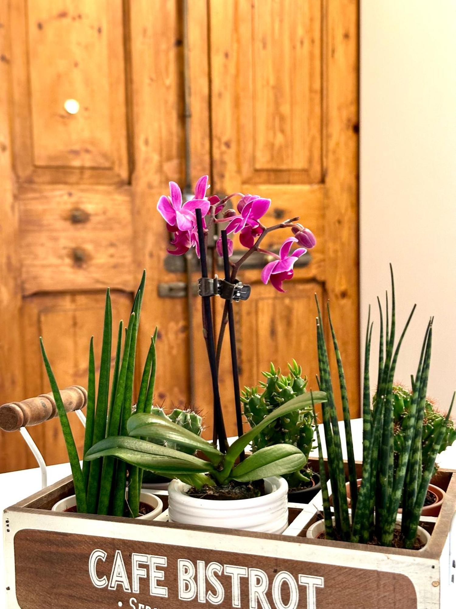Apartmán Casa Belfiore Boloňa Exteriér fotografie